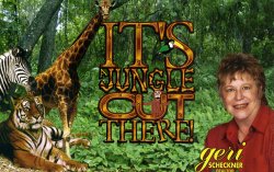 Jungle Postcard